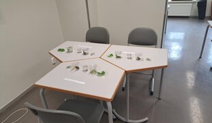 29.–31. mail toimunud 6.-9. klasside 64. bioloogiaolümpiaadi lõppvoor