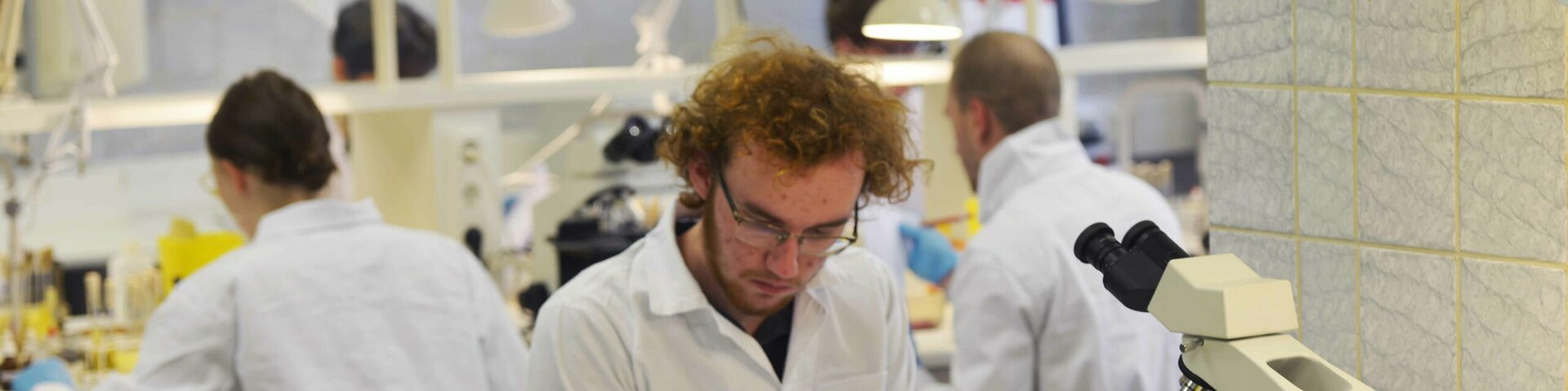 Bioloogiaolümpiaad mikrobioloogia praktikum foto Sulev Kuuse