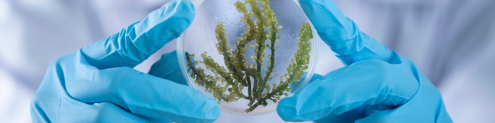 Bioloogia õppesessioon